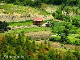 Cari penawaran terbaik untuk tanah kebun jawa tengah. Theopils ×'×˜×•×•×™×˜×¨ Rumah Di Tengah Kebun Rumah Kebun Lembah Bambapuang Enrekang Nature Alam Landscape Https T Co V0lgzqfsde Https T Co Fqa0rmwfpp