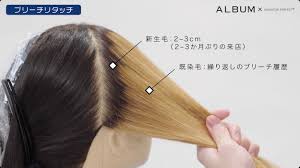 WELLAコラボ2_13】ブリーチワークがうまくなる３つのスキル(衣川) | ALBUM ACADEMY ONLINE(アルバム アカデミー  オンライン)