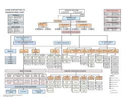 Organized Management Hierarchy Chart Template Corporate