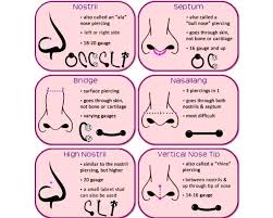 33 Ageless Septum Ring Size Guide