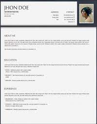 The Perfect Curriculum Vitae Writing A Cv Best Resume Format Curriculum Vitae