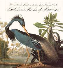 The birds of north america, 0831708778, lyttle, richard b., very good book. The Birds Of America Wikipedia