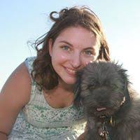 The Scenographic Imagination by Darwin Reid Payne