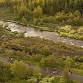 Midnight Sun Run 2026 event image