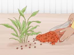 Jun 21, 2020 · aphids have a number of natural enemies, and these insects are much better at controlling aphids than any other method available to gardeners. 3 Ways To Keep Aphids Away Using Eco Friendly Methods Wikihow
