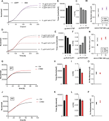 Maybe you would like to learn more about one of these? Yap Regulates Cell Size And Growth Dynamics Via Non Cell Autonomous Mediators Elife