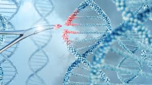 Cell and Gene Therapy I Bayer