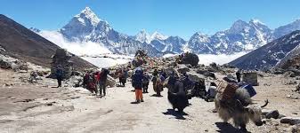 Major Highlights Of Everest Region Trekking Highlights Of Everest Trek