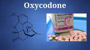 Mar 24, 2020 · oxycodone's action is effectively eliminated from the blood in 22.5 hours. How Long Does Oxycodone Stay In The System