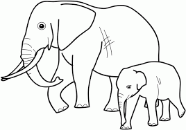Check spelling or type a new query. Elephant Printable Coloring Pages Elephant Coloring Page Zoo Coloring Pages Animal Coloring Books