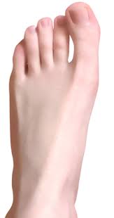 Pay tribute to the products that paved the way for sneaker culture as we know it. Foot Wiktionary