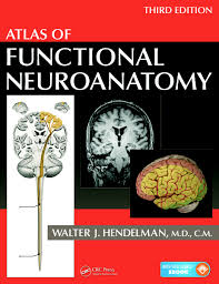 Gray's atlas of anatomy, third edition is an excellent resource for students and teachers of human anatomy. Atlas Of Functional Neuroanatomy 3rd Edition Walter Hendelman M