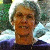 Susan Lois Welsh Obituary (2024)