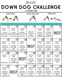 At Home 28 Day Yoga Challenge Yoga For Beginners Yoga Routine For Beginners How To Do Yoga