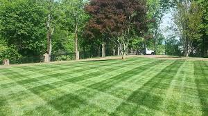 Since then we have performed countless applications of organic weed killer services on lawns all around town. Why Organic Lawn Care Is Essential