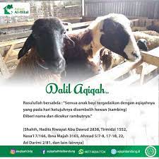 Bolehkah ikut makan daging aqiqah sendiri ustadz habdul somad lcma. Hukum Orangtua Memakan Daging Aqiqah Anaknya Aqiqah Al Hilal