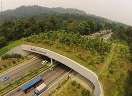 Pin On Thema Expressway Landscapedesign