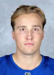 Player photos for the 2018-19 Sudbury Wolves at hockeydb.com