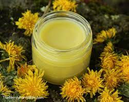 Dandelion Salve Recipe Salve Recipes Magnesium Lotion Herbalism