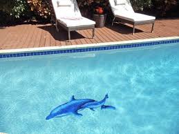 Dolphin Pair Ceramic Swimming Pool Mosaic 24 X 57 Custom Pools Mosaic Swimming Pool Mosaics