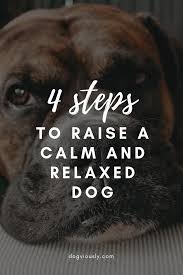 How to train a dog to be calm. 4 Sure Fire Strategies To Raising A Calm And Relaxed Dog Dogviously Relaxed Dog Dog Training Obedience Dog Care