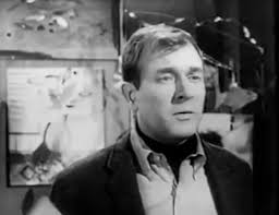 The Farmer's Daughter (TV Series 1963–1966)