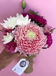 We did not find results for: Same Day Flower Delivery Brisbane Poco Posy