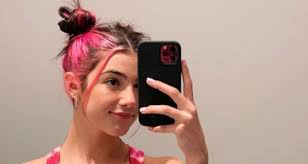 See more ideas about hair color for women, hair, long hair styles. Charli D Amelio Ditches Short Pink Hair For Longer Locks Charli D Amelio Hair Just Jared Jr