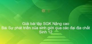 Giải bt sgk toán 6 bài 12 chương 1: Giáº£i Bai Táº­p Sgk Sinh 12 Nang Cao Bai 44 Sá»± Phat Triá»ƒn Cá»§a Sinh Giá»›i Qua Cac Ä'áº¡i Ä'á»‹a Cháº¥t