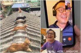 1:01 sea shanties with the boys 1:00 4 guys singing the wellerman sea shanty meme tiktok 5:09 sea shanty tik 3:48 'four lads in jeans' from viral meme give exclusive interview | ladbible 11:00 11 minutes of runescape memes compilation 1:00 drunken sailor locker room talk 2. 6 Videos Memes To Spread Safe Distancing Message And Bring Cheer Amid Covid 19 Pandemic Singapore News Top Stories The Straits Times