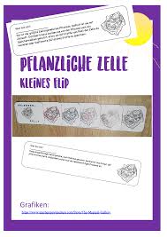 Pflanzliche Zelle Sopad Version Unterrichtsmaterial Im Fach Biologie In 2020 Zellen Lernen Unterrichtsmaterial