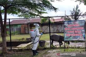 Check spelling or type a new query. Kebun Binatang Kasang Kulim Kampar Disemprotkan Disinfektan Begini Tujuannya Antara News Riau