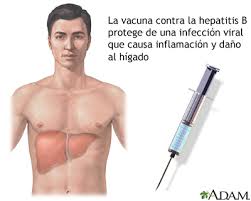 Hepatitis B Medlineplus Enciclopedia Medica Illustracion
