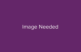 Master Of Science In Criminal Justice Online Ms Degree Excelsior