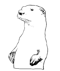 Click the marmot coloring pages to view printable version or color it online (compatible with ipad and android tablets). Otter Coloring Pages Best Coloring Pages For Kids Animal Coloring Pages Coloring Pages Baby Coloring Pages