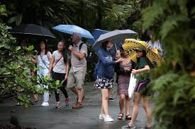 Detailed weather forecast ⚡ in singapore, singapore today, tomorrow and 7 days. Rainy Weather Eases Slight Increase In Temperatures Forecasted In Next Few Days Today