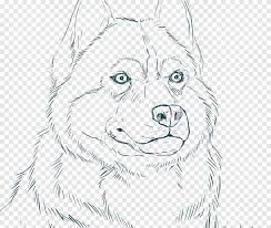You can now print this beautiful husky dog realistic coloring page or color online for free. Siberian Husky Alaskan Husky Puppy Coloring Book Husky Siberian Child Face Png Pngegg
