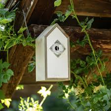 We make organic cotton candy, hot cocoa bombs, large gummies, hot sauces, dip sets and much more. Nest Predator Protection For Nesting Boxes Windhager Eu