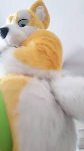 fursuit facesitting @fursuit_facesit - Twitter Profile | Sotwe