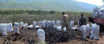 Resultado de imagen para deforestacion bahoruco