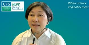 Foresight4Food CFS 50 Side Event