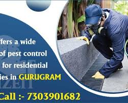 Best pest control pest control services bug control. Best Pest Control Services Company Price In Delhi Gurgaon Pest Control Services In Delhi 169195209 Clickindia