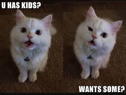 Lolcats Kids Lol At Funny Cat Memes Funny Cat Pictures With Words On Them Lol Cat Memes Funny Cats Funny Cat Pictures With Words On 28 hilarious dog memes to get you through life.