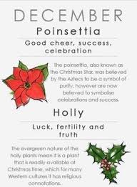 December Birth Flower December Birth Flower Birth Flower Tattoos Birth Month Flowers