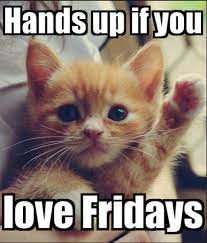 Friday Memes 15 Memes To Put You In The Best Mood Ever Best Life 70 funny friday memes | best tgif meme for the weekend. friday memes 15 memes to put you in