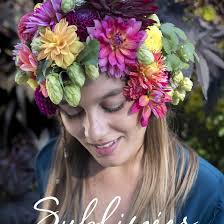 Notre offre en ligne