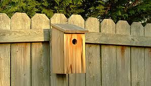 Free bird house plans bluebird purple martin wren more easy diy wood birdhouse 53 that will attract them to your garden 100 projects available photos and. 38 Free Birdhouse Plans Guide Patterns