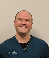 Experienced Veterinarians