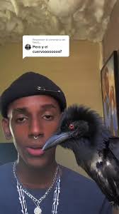 Responder a @fansd_ #rasecleiniar #xyzbca #parati #viral #chicoculebra