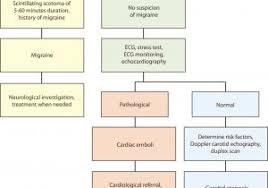 chart of nervous system anatomychartbook com